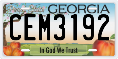GA license plate CEM3192