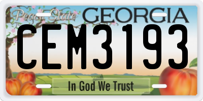 GA license plate CEM3193