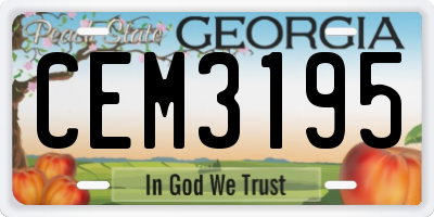 GA license plate CEM3195