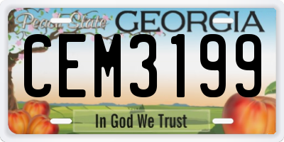 GA license plate CEM3199