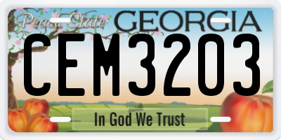 GA license plate CEM3203