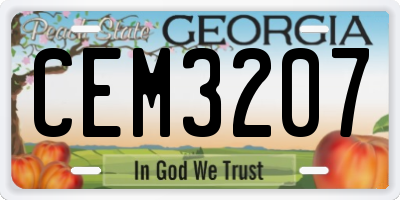 GA license plate CEM3207