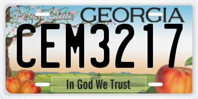 GA license plate CEM3217