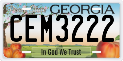 GA license plate CEM3222