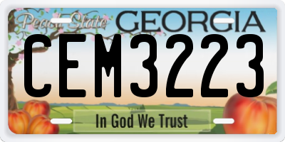 GA license plate CEM3223