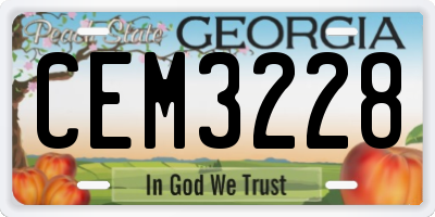 GA license plate CEM3228