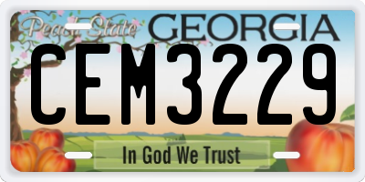 GA license plate CEM3229