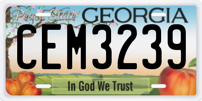 GA license plate CEM3239