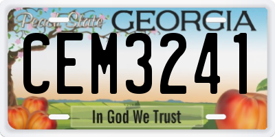 GA license plate CEM3241