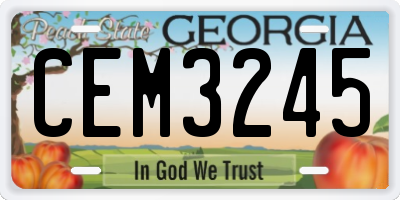 GA license plate CEM3245
