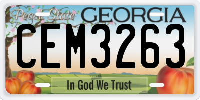 GA license plate CEM3263