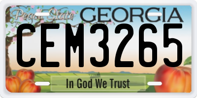 GA license plate CEM3265
