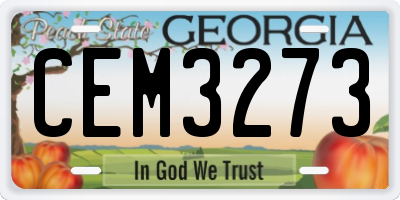 GA license plate CEM3273