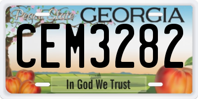GA license plate CEM3282
