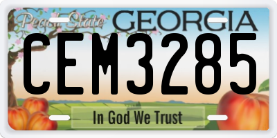 GA license plate CEM3285