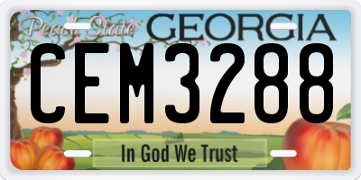 GA license plate CEM3288