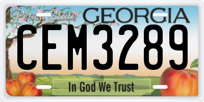 GA license plate CEM3289
