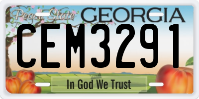 GA license plate CEM3291