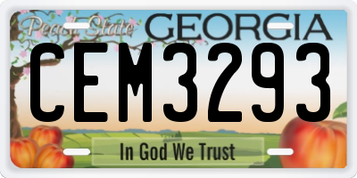 GA license plate CEM3293