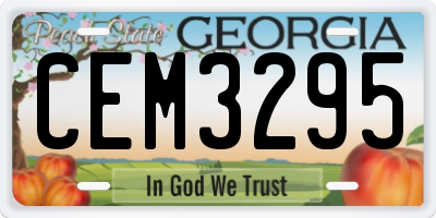 GA license plate CEM3295