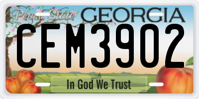 GA license plate CEM3902