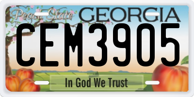 GA license plate CEM3905