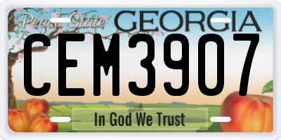 GA license plate CEM3907