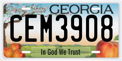 GA license plate CEM3908