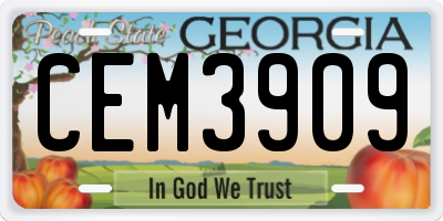 GA license plate CEM3909