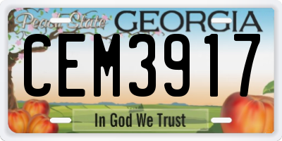 GA license plate CEM3917