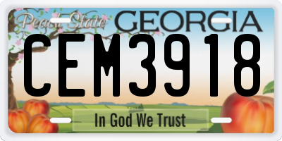 GA license plate CEM3918