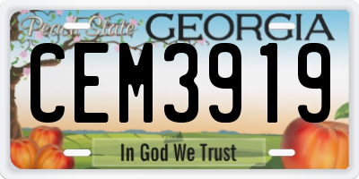 GA license plate CEM3919