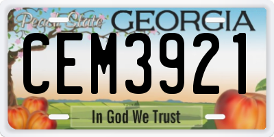 GA license plate CEM3921