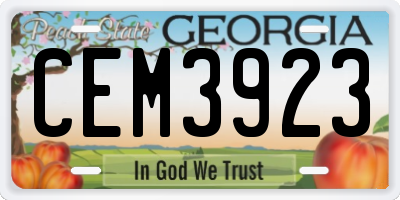 GA license plate CEM3923