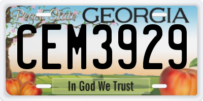 GA license plate CEM3929