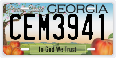 GA license plate CEM3941