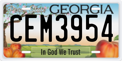 GA license plate CEM3954