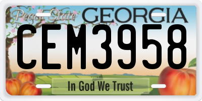 GA license plate CEM3958