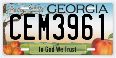 GA license plate CEM3961