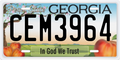 GA license plate CEM3964