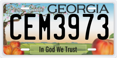 GA license plate CEM3973