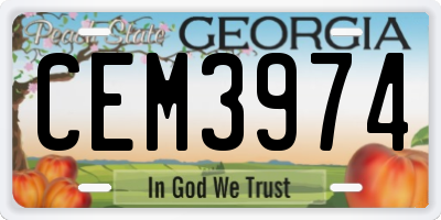 GA license plate CEM3974