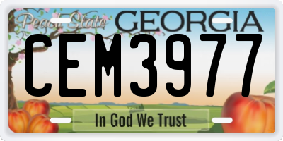 GA license plate CEM3977
