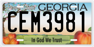 GA license plate CEM3981