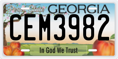 GA license plate CEM3982