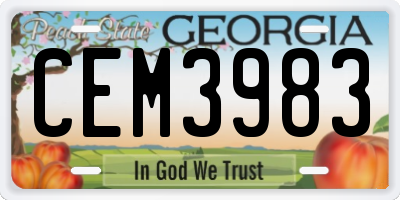 GA license plate CEM3983