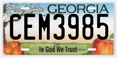 GA license plate CEM3985