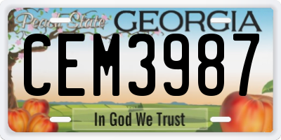GA license plate CEM3987