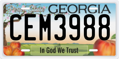 GA license plate CEM3988