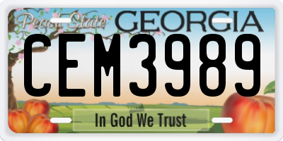 GA license plate CEM3989